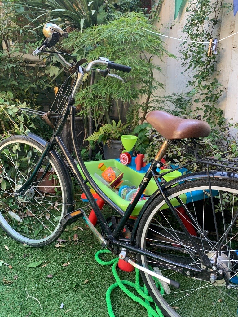 bronx vintage bike